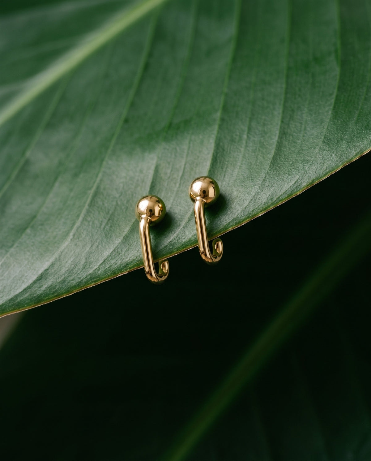 A pair of Ball Open Hoops in 18K Gold Vermeil hooked over the edge of a green leaf.